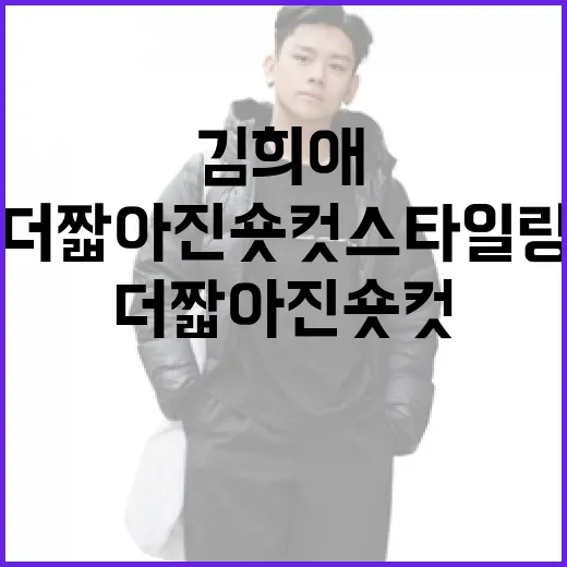 김희애처럼 더 짧아진 숏컷 스타일링하는 방법 - 요약