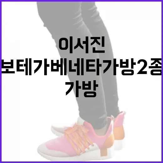 이서진과 함께하는 보테가 베네타 가방 2종 소개 방법 - 요약