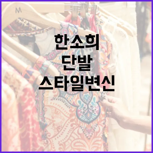 한소희처럼 단발로 스타일 변신하는 방법 - 요약