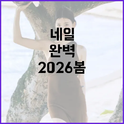 2026 봄 네일 트렌드를 완벽하게 소화하는 방법 - 요약