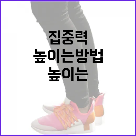 미닛뮤트를 활용하여 집중력을 높이는 방법 - 요약