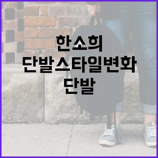 한소희의 단발 스타일 변화를 따라하는 방법 - 요약