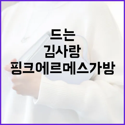 김사랑처럼 핑크 에르메스 가방을 스타일리시하게 드는 방법 - 요약