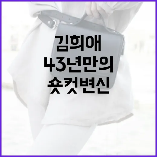 김희애의 43년 만의 숏컷 변신, 스타일링 팁과 비결 - 요약