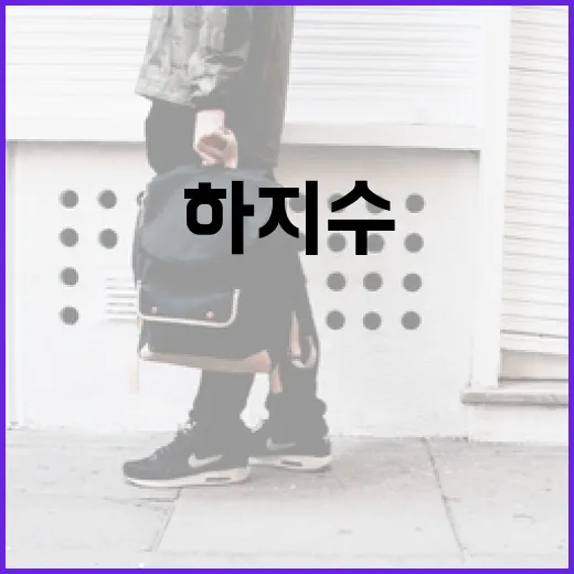 하지수를 이해하고 활용하는 방법 - 요약