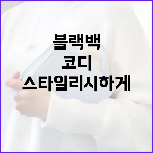 스타일리시하게 블랙백 코디하는 방법