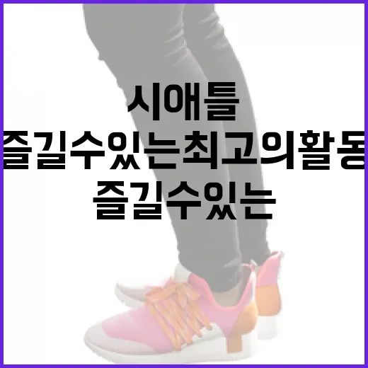 시애틀에서 즐길 수 있는 최고의 활동을 찾는 방법 - 요약