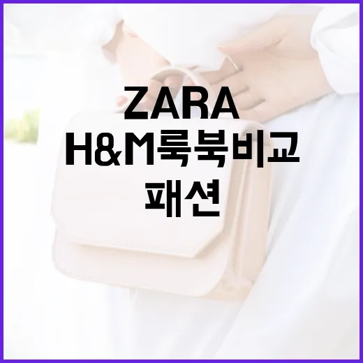 ZARA와 H&M 룩북 비교: 패션 선택 가이드 - 요약