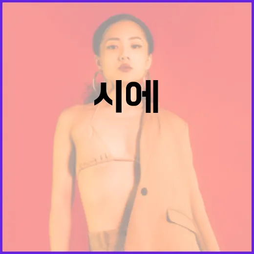 시에(SIE)를 쉽게 이해하는 방법 - 요약