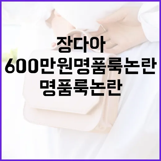 장다아의 600만원 명품룩 논란을 이해하는 방법 - 요약