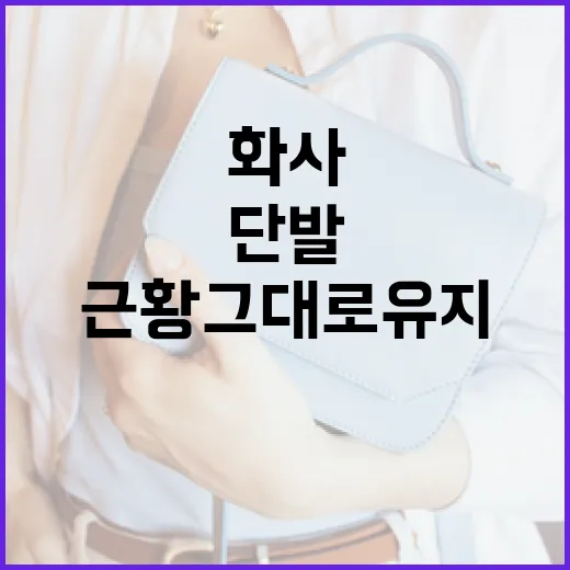 화사처럼 단발로 스타일링하는 방법: 근황 그대로 유지하기 - 요약