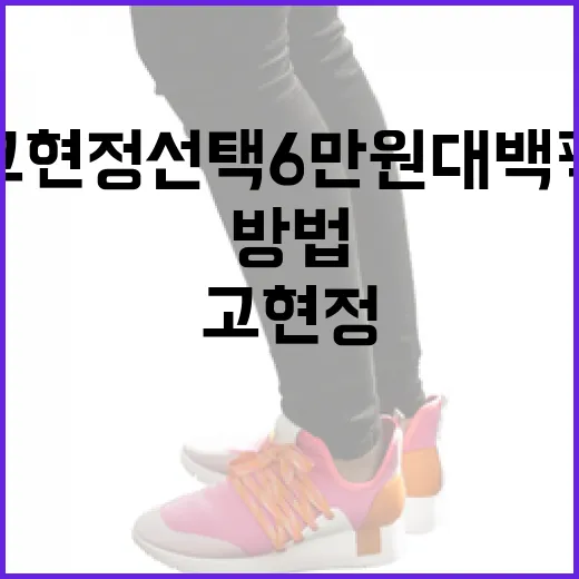고현정 선택 6만원대 백팩을 현명하게 구매하는 방법 - 요약