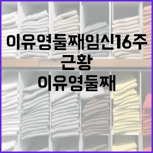이유영 둘째 임신 16주 근황과 건강 관리 방법 - 요약