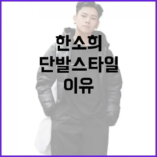 한소희처럼 단발 스타일을 선택해야 하는 이유 - 요약