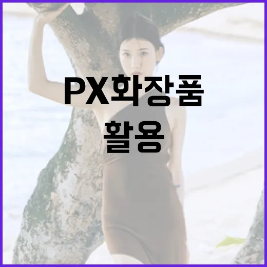 px 화장품을 제대로 활용하는 방법 - 요약