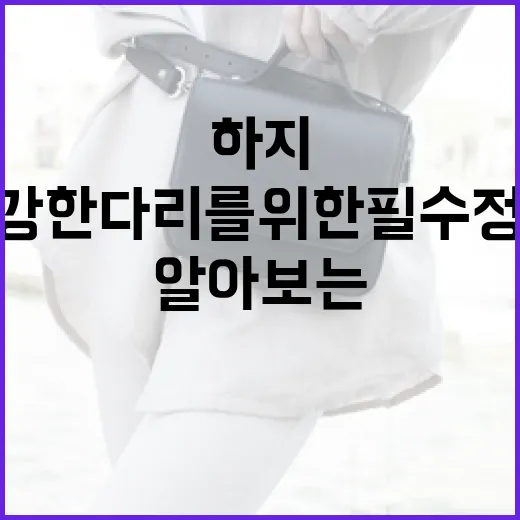 하지수를 알아보는 방법: 건강한 다리를 위한 필수 정보 - 요약