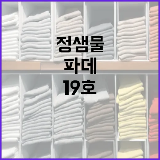 다이소 정샘물 파데 19호와 21호 비교하는 방법 - 요약