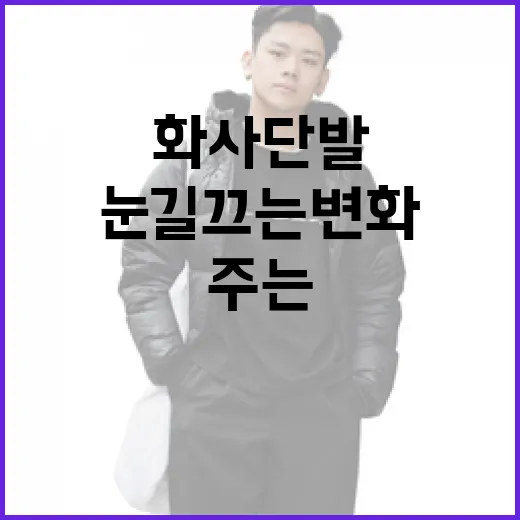 화사 단발로 눈길 끄는 변화를 주는 방법 - 요약