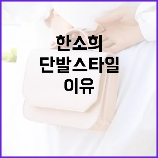 한소희의 단발 스타일을 선택하는 이유와 스타일링 방법 - 요약