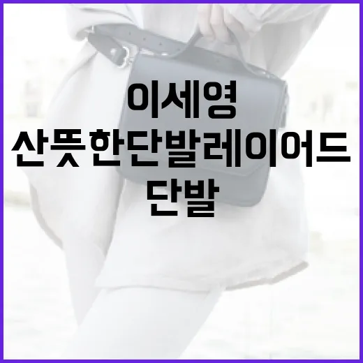 이세영처럼 산뜻한 단발 레이어드를 연출하는 방법 - 요약