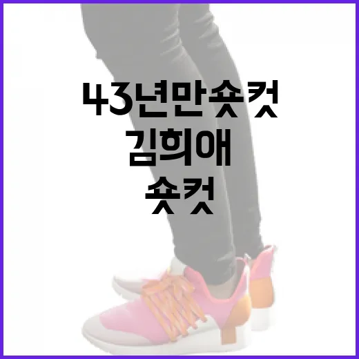 김희애의 43년 만 숏컷 도전, 이렇게 도전해보세요! - 요약