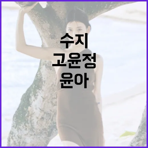 수지, 고윤정, 윤아처럼 블랙백 스타일링하는 방법 - 요약