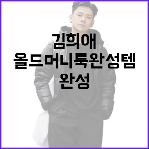 김희애의 올드머니룩 완성템으로 스타일링하는 방법 - 요약