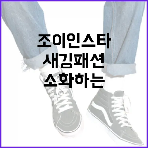 조이 인스타에서 새깅 패션을 완벽히 소화하는 방법 - 요약