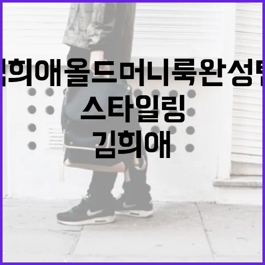 김희애 올드머니룩 완성템으로 우아한 스타일링 하는 방법 - 요약