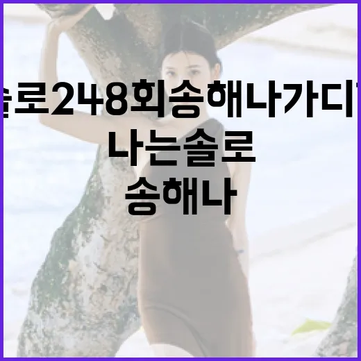 나는솔로 248회 송해나 가디건 정보를 찾는 방법 - 요약