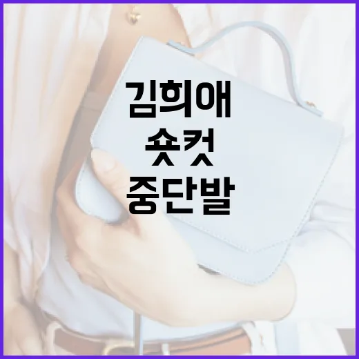 김희애의 숏컷과 중단발 헤어스타일 변천사를 알아보는 방법 - 요약