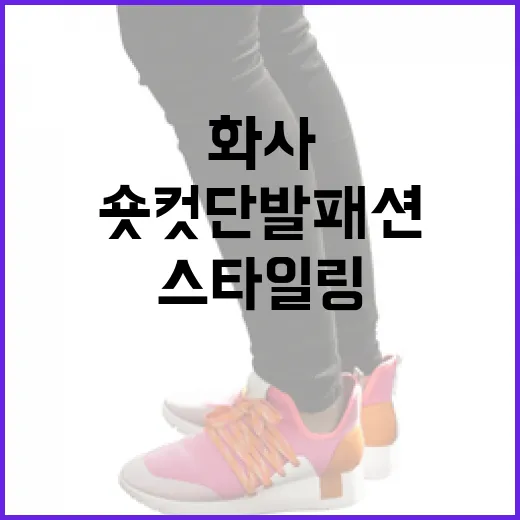 화사 숏컷 단발 패션 변화로 스타일링하는 방법 - 요약