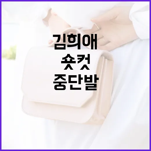김희애의 숏컷에서 중단발까지 스타일 변천사 알아보기 - 요약