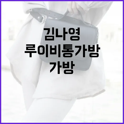 김나영처럼 루이비통 가방을 스타일링하는 방법 - 요약