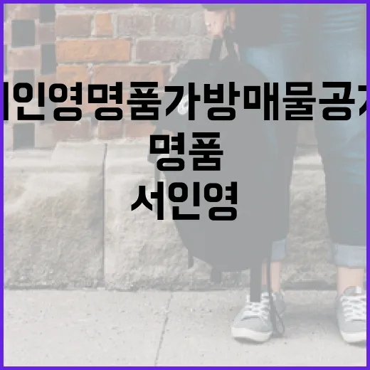 서인영 명품 가방 매물 공개: 놓치지 말아야 할 방법 - 요약