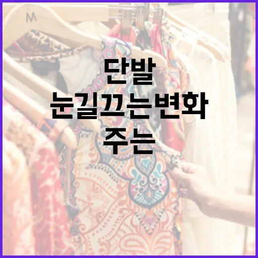 화사한 단발로 눈길 끄는 변화를 주는 방법 - 요약