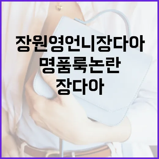 장원영 언니 장다아의 명품룩 논란을 이해하는 방법 - 요약