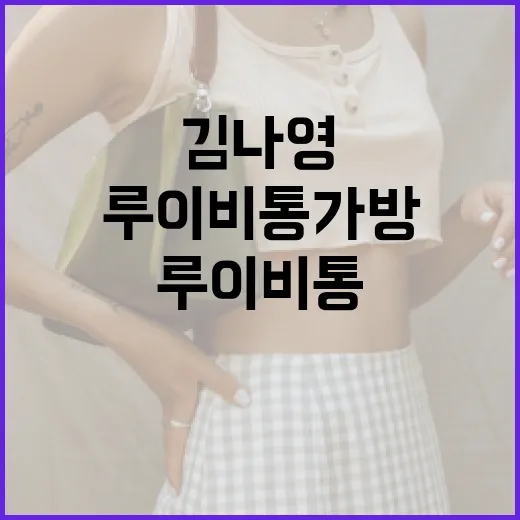 김나영처럼 스타일리시하게: 루이비통 가방 선택하는 방법 - 요약