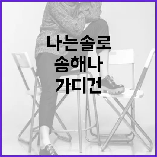 나는솔로 248회 송해나 가디건 브랜드 알아보기 - 요약