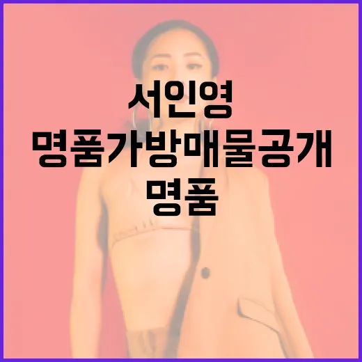 서인영의 명품 가방 매물 공개하는 방법 - 요약