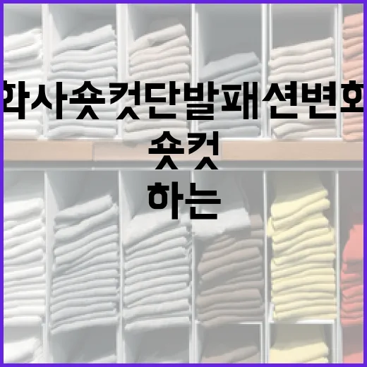 화사 숏컷 단발 패션 변화를 따라하는 방법 - 요약