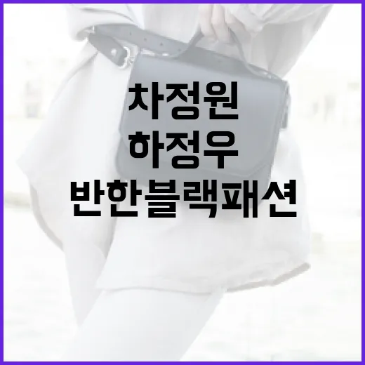 차정원과 하정우가 반한 블랙패션 스타일링 방법 - 요약