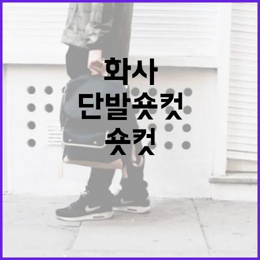 화사처럼 단발 숏컷으로 스타일링하는 방법 - 요약