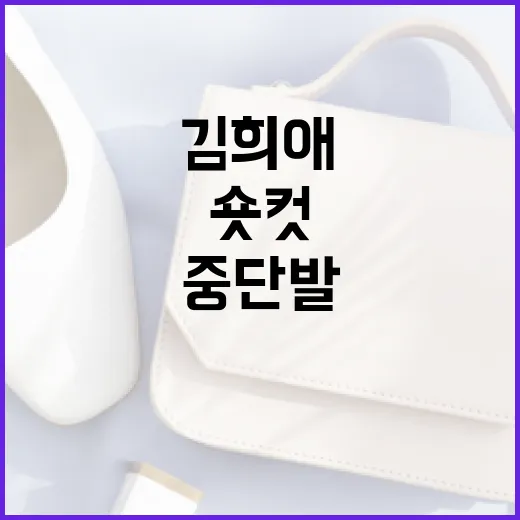 김희애의 숏컷에서 중단발까지 변천사 이해하는 방법 - 요약
