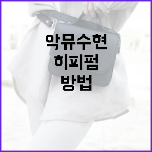 악뮤 수현처럼 히피펌을 연출하는 방법 - 요약