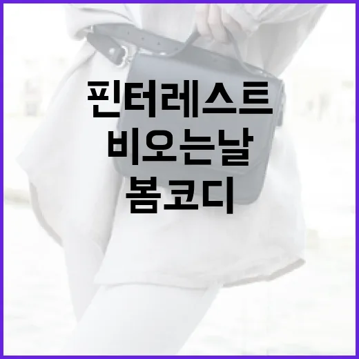 비오는 날, 핀터레스트에서 봄 코디를 완벽하게 찾는 방법 - 요약