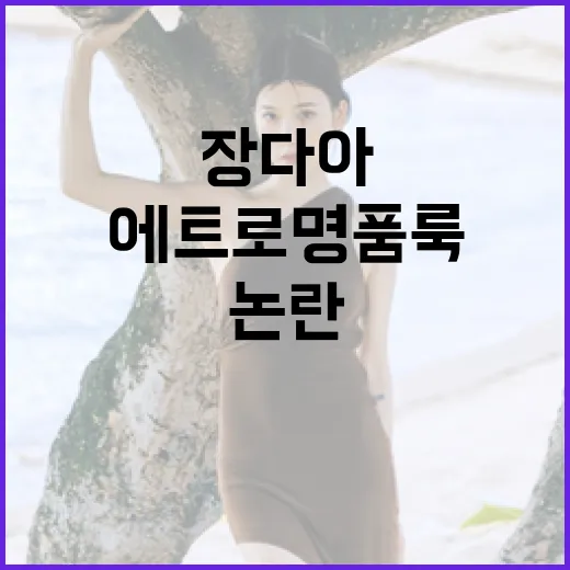 장다아의 에트로 명품룩 논란을 이해하는 방법 - 요약