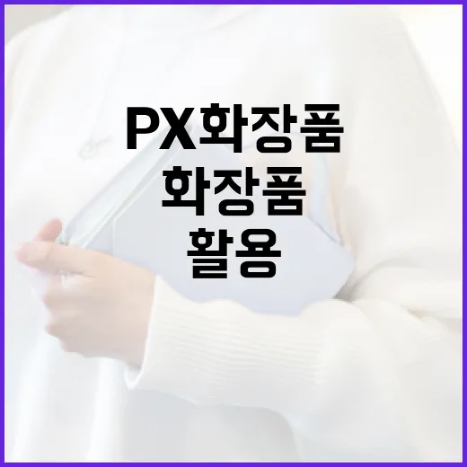 PX 화장품을 활용하여 피부를 건강하게 가꾸는 방법 - 요약