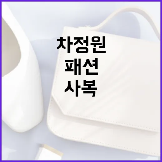 차정원 사복패션으로 스타일링하는 방법 - 요약