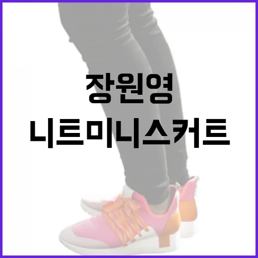 장원영 스타일로 봄 니트 미니스커트 코디하는 방법 - 요약